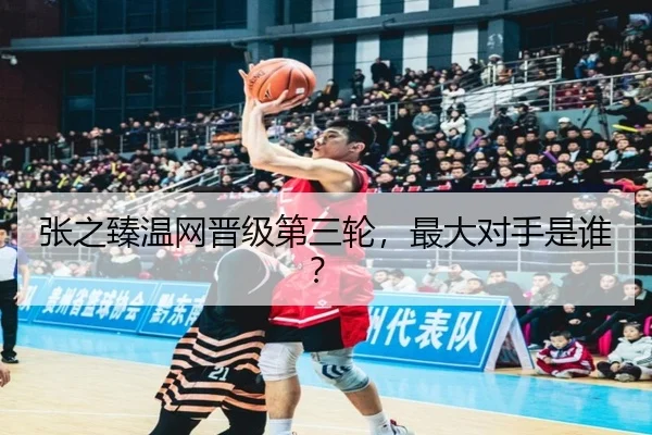 张之臻温网晋级第三轮，最大对手是谁？